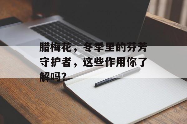腊梅花，冬季里的芬芳守护者，这些作用你了解吗？
