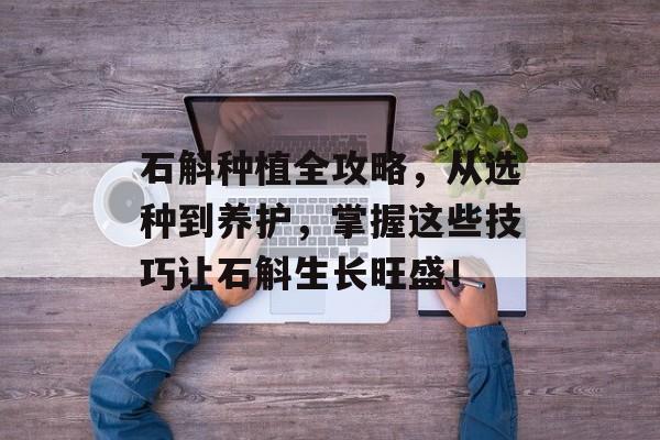 石斛种植全攻略，从选种到养护，掌握这些技巧让石斛生长旺盛！