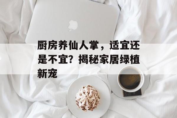 厨房养仙人掌，适宜还是不宜？揭秘家居绿植新宠