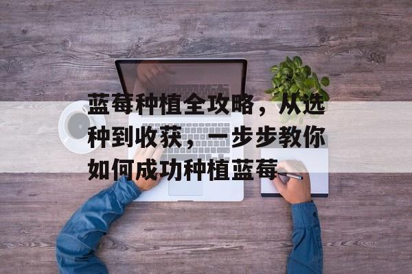 蓝莓种植全攻略，从选种到收获，一步步教你如何成功种植蓝莓