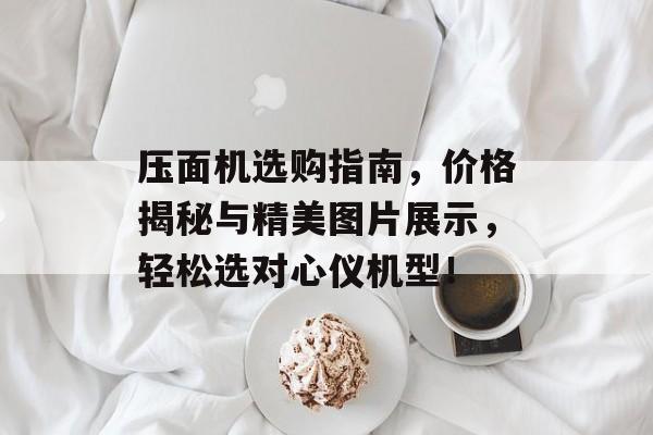 压面机选购指南，价格揭秘与精美图片展示，轻松选对心仪机型！