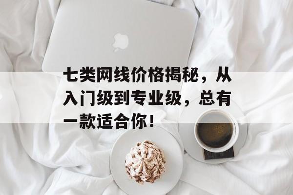 七类网线价格揭秘，从入门级到专业级，总有一款适合你！