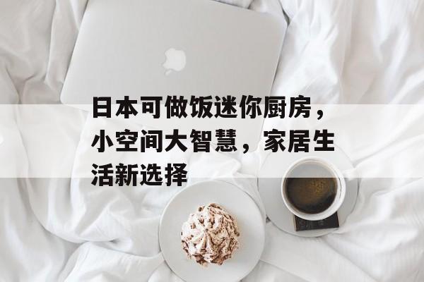 日本可做饭迷你厨房，小空间大智慧，家居生活新选择
