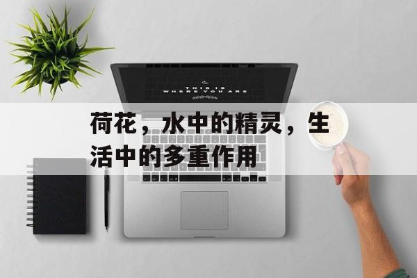 荷花，水中的精灵，生活中的多重作用