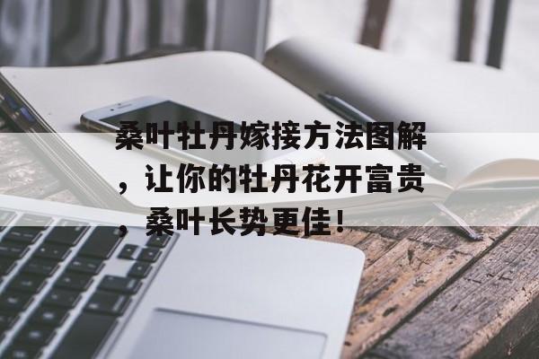 桑叶牡丹嫁接方法图解，让你的牡丹花开富贵，桑叶长势更佳！