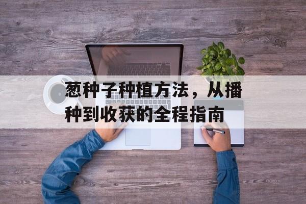 葱种子种植方法，从播种到收获的全程指南