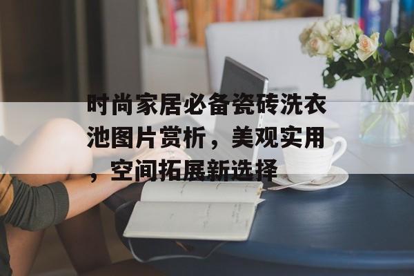 时尚家居必备瓷砖洗衣池图片赏析，美观实用，空间拓展新选择