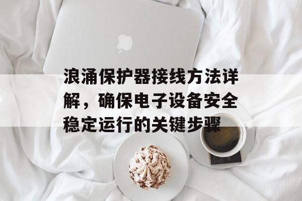 浪涌保护器接线方法详解，确保电子设备安全稳定运行的关键步骤