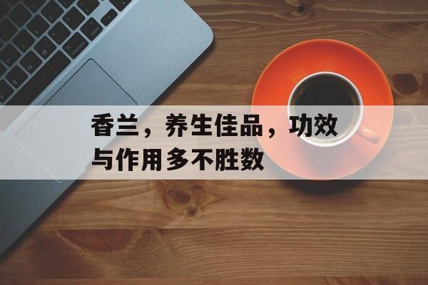 香兰，养生佳品，功效与作用多不胜数