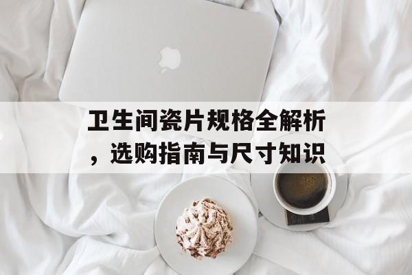 卫生间瓷片规格全解析，选购指南与尺寸知识