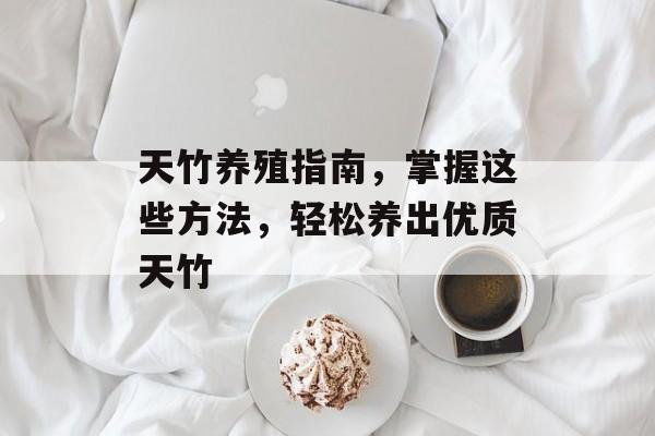 天竹养殖指南，掌握这些方法，轻松养出优质天竹