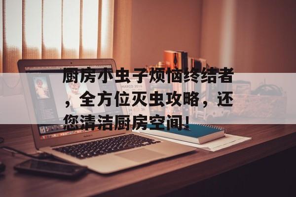 厨房小虫子烦恼终结者，全方位灭虫攻略，还您清洁厨房空间！