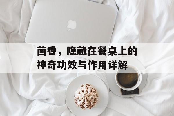 茴香，隐藏在餐桌上的神奇功效与作用详解