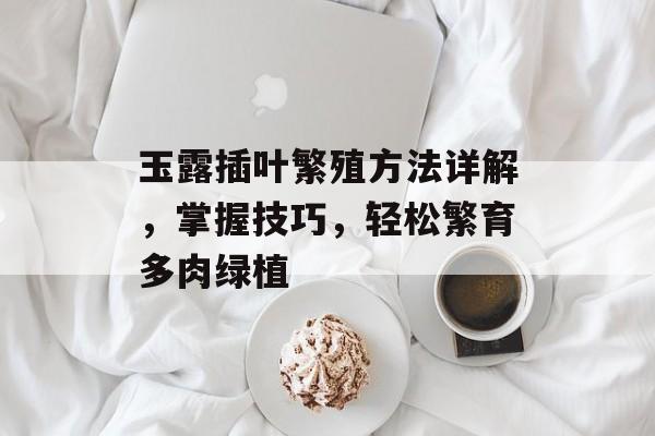 玉露插叶繁殖方法详解，掌握技巧，轻松繁育多肉绿植