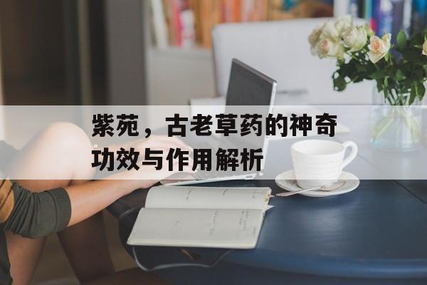紫苑，古老草药的神奇功效与作用解析