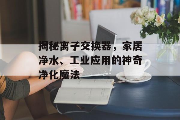 揭秘离子交换器，家居净水、工业应用的神奇净化魔法