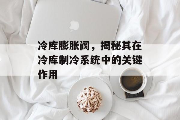 冷库膨胀阀，揭秘其在冷库制冷系统中的关键作用