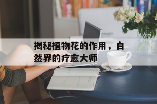 揭秘植物花的作用，自然界的疗愈大师
