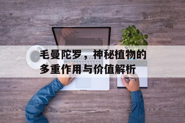 毛曼陀罗，神秘植物的多重作用与价值解析