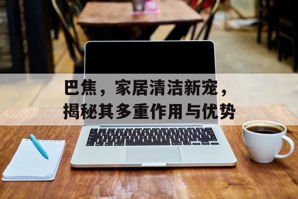 巴焦，家居清洁新宠，揭秘其多重作用与优势