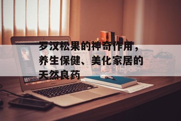 罗汉松果的神奇作用，养生保健、美化家居的天然良药