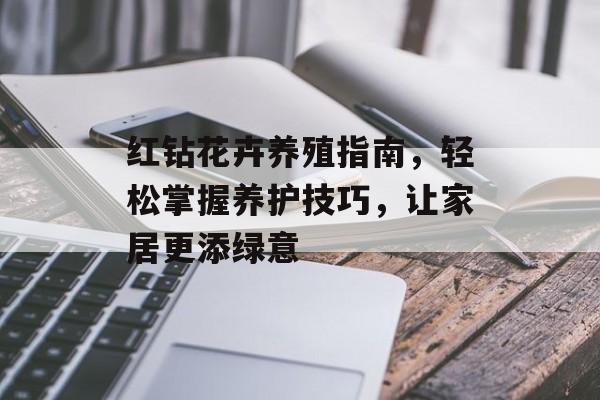 红钻花卉养殖指南，轻松掌握养护技巧，让家居更添绿意