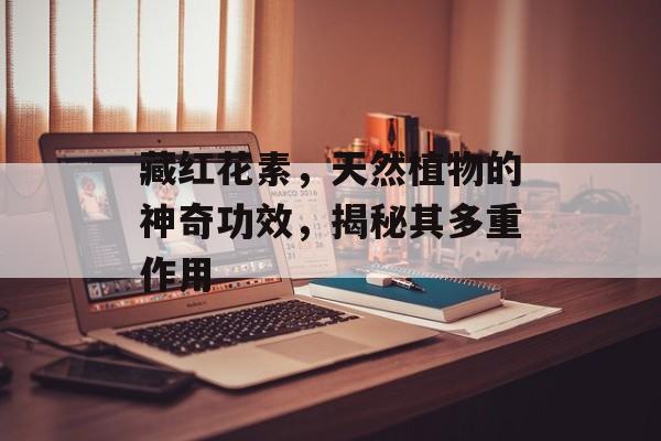 藏红花素，天然植物的神奇功效，揭秘其多重作用