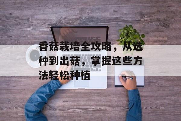 香菇栽培全攻略，从选种到出菇，掌握这些方法轻松种植