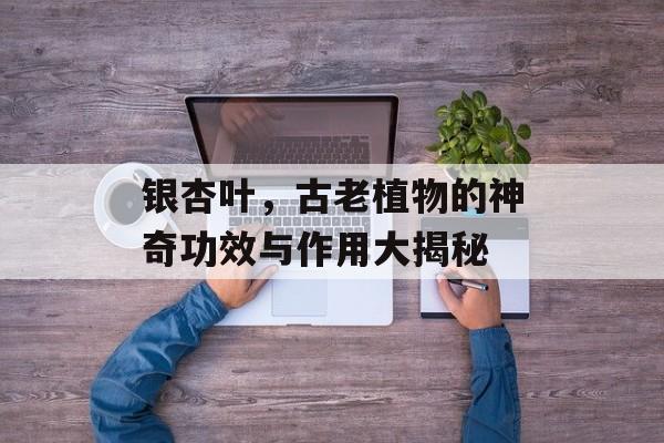 银杏叶，古老植物的神奇功效与作用大揭秘