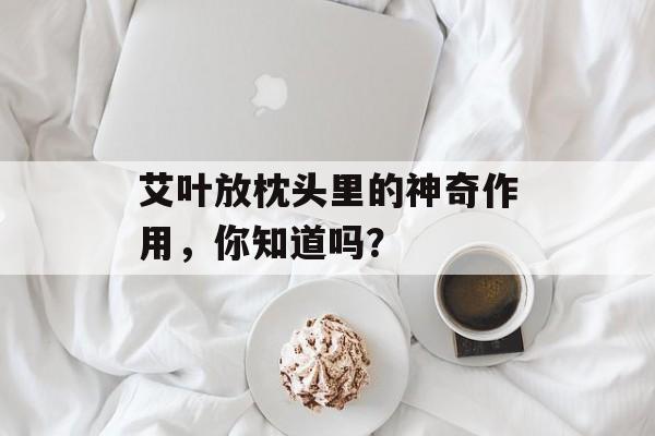 艾叶放枕头里的神奇作用，你知道吗？