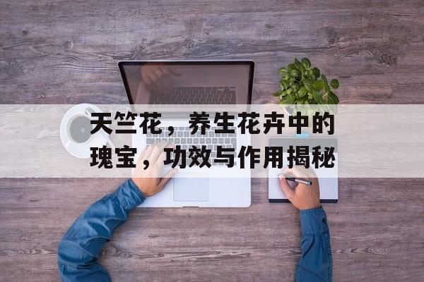 天竺花，养生花卉中的瑰宝，功效与作用揭秘