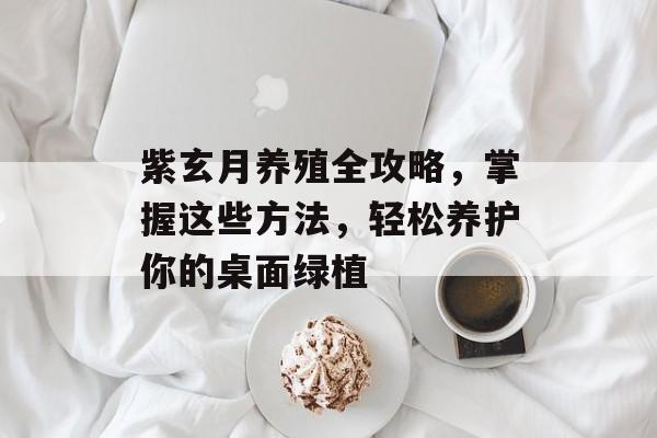 紫玄月养殖全攻略，掌握这些方法，轻松养护你的桌面绿植