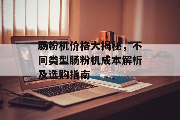 肠粉机价格大揭秘，不同类型肠粉机成本解析及选购指南