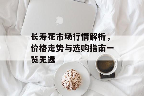 长寿花市场行情解析，价格走势与选购指南一览无遗