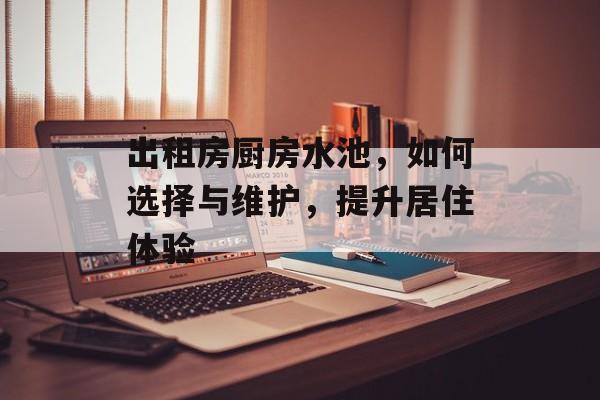 出租房厨房水池，如何选择与维护，提升居住体验