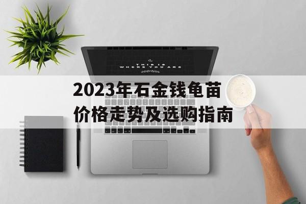 2023年石金钱龟苗价格走势及选购指南