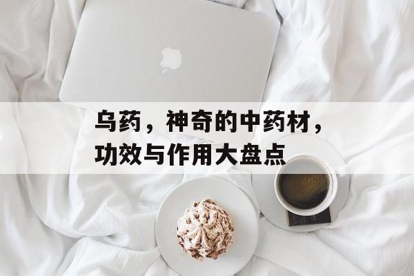 乌药，神奇的中药材，功效与作用大盘点