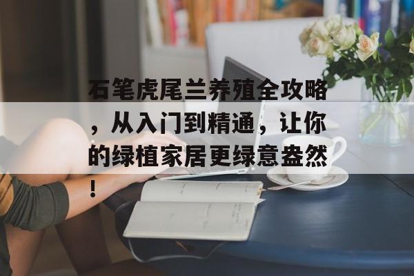 石笔虎尾兰养殖全攻略，从入门到精通，让你的绿植家居更绿意盎然！