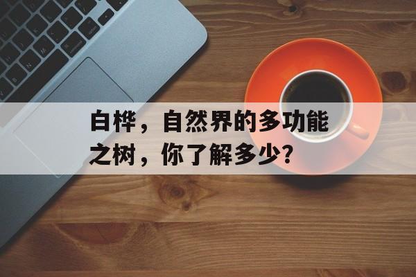 白桦，自然界的多功能之树，你了解多少？