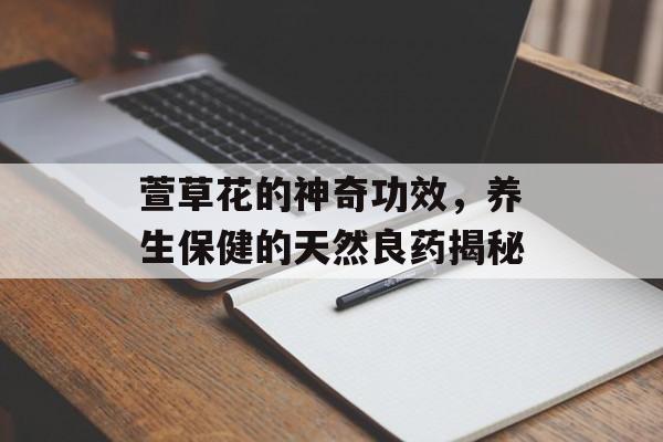 萱草花的神奇功效，养生保健的天然良药揭秘