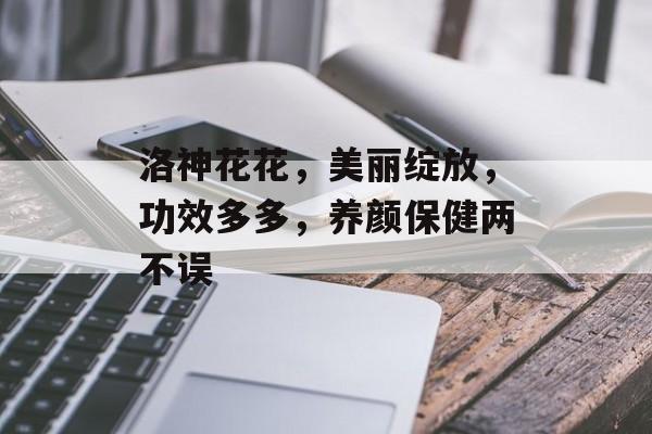 洛神花花，美丽绽放，功效多多，养颜保健两不误