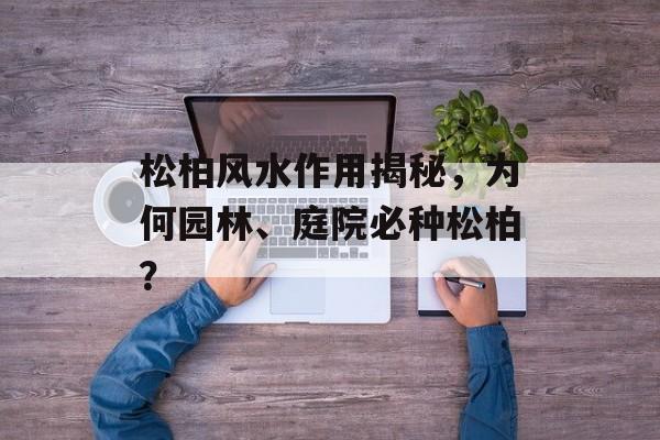 松柏风水作用揭秘，为何园林、庭院必种松柏？