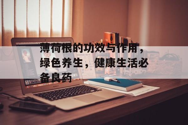 薄荷根的功效与作用，绿色养生，健康生活必备良药