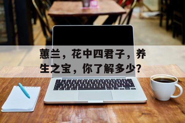 蕙兰，花中四君子，养生之宝，你了解多少？