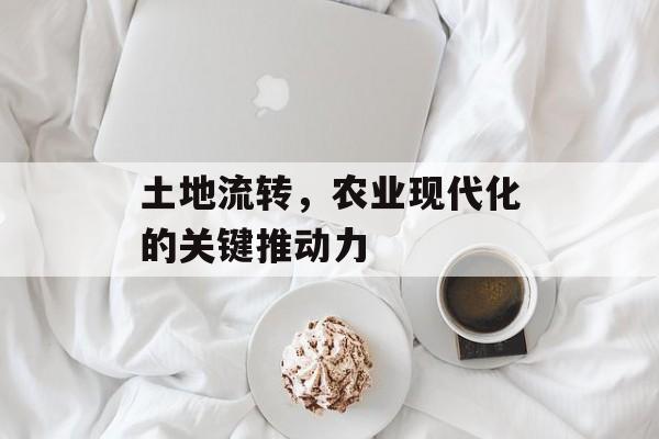 土地流转，农业现代化的关键推动力