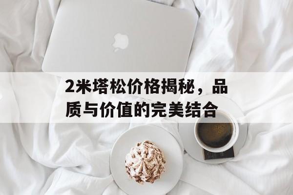 2米塔松价格揭秘，品质与价值的完美结合