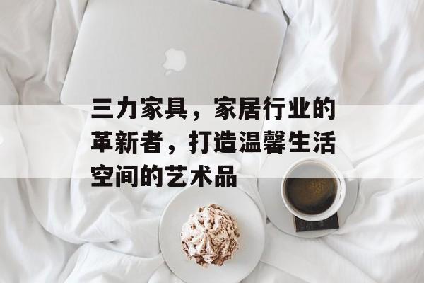 三力家具，家居行业的革新者，打造温馨生活空间的艺术品