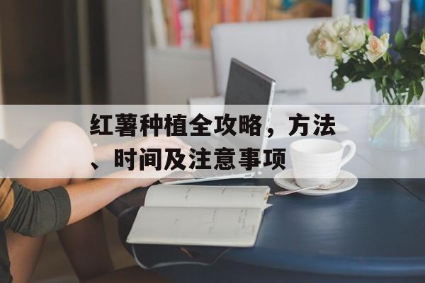 红薯种植全攻略，方法、时间及注意事项