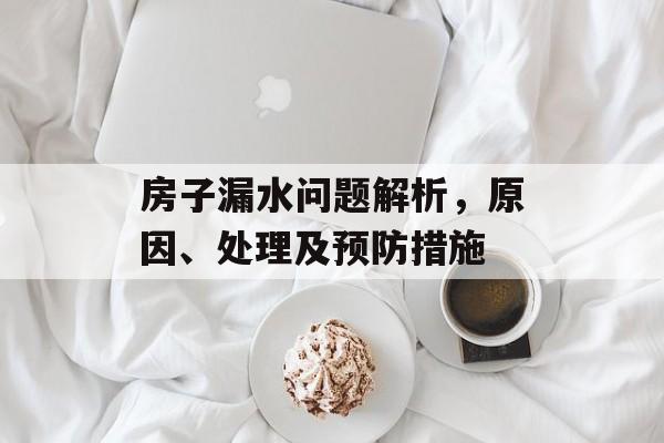 房子漏水问题解析，原因、处理及预防措施