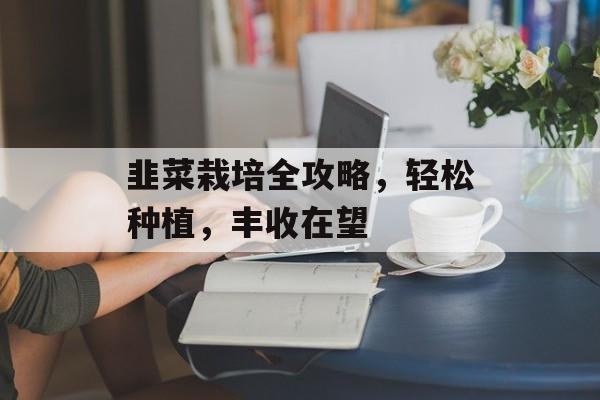 韭菜栽培全攻略，轻松种植，丰收在望